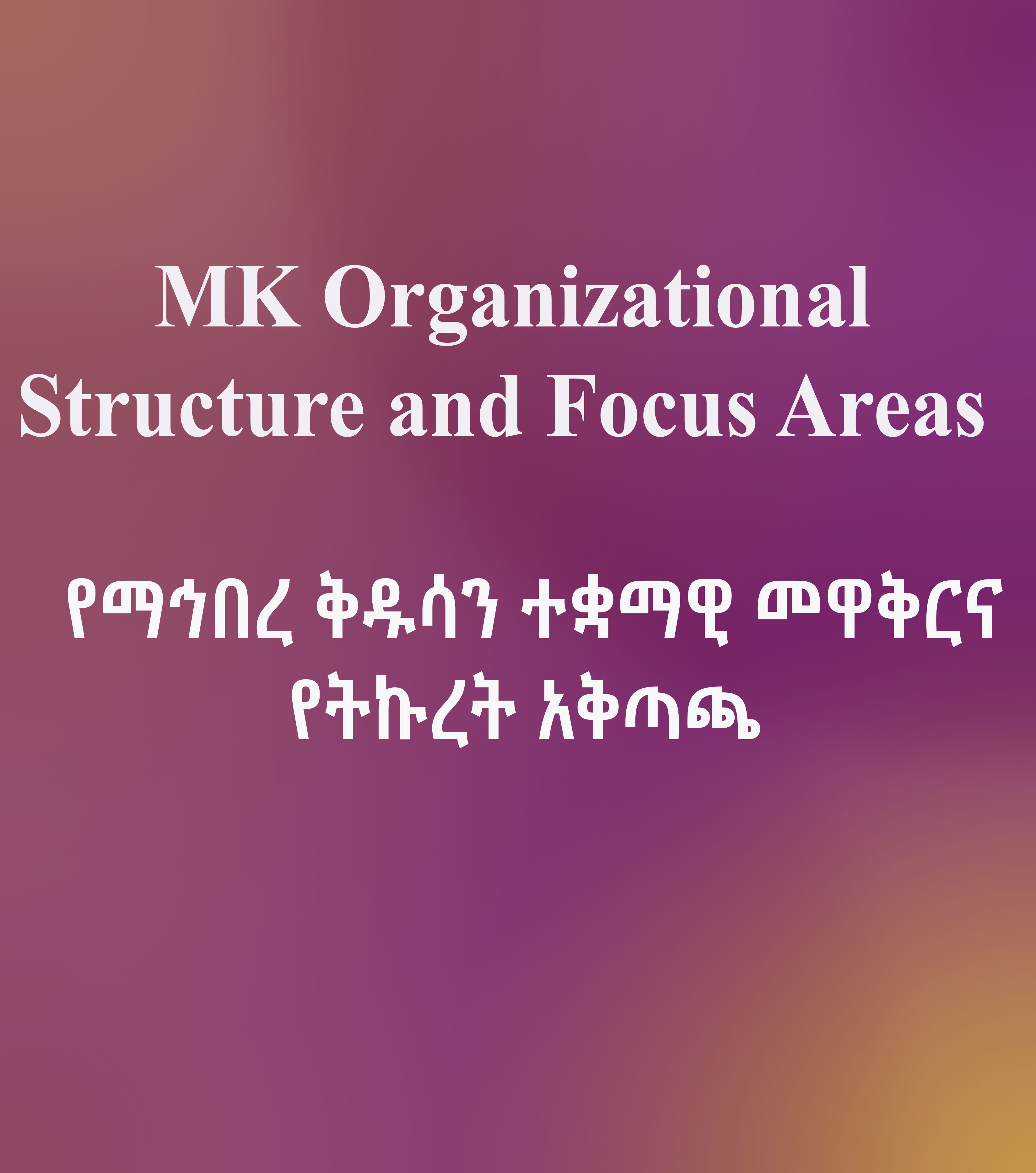 MK organizational Structure and focus areas 