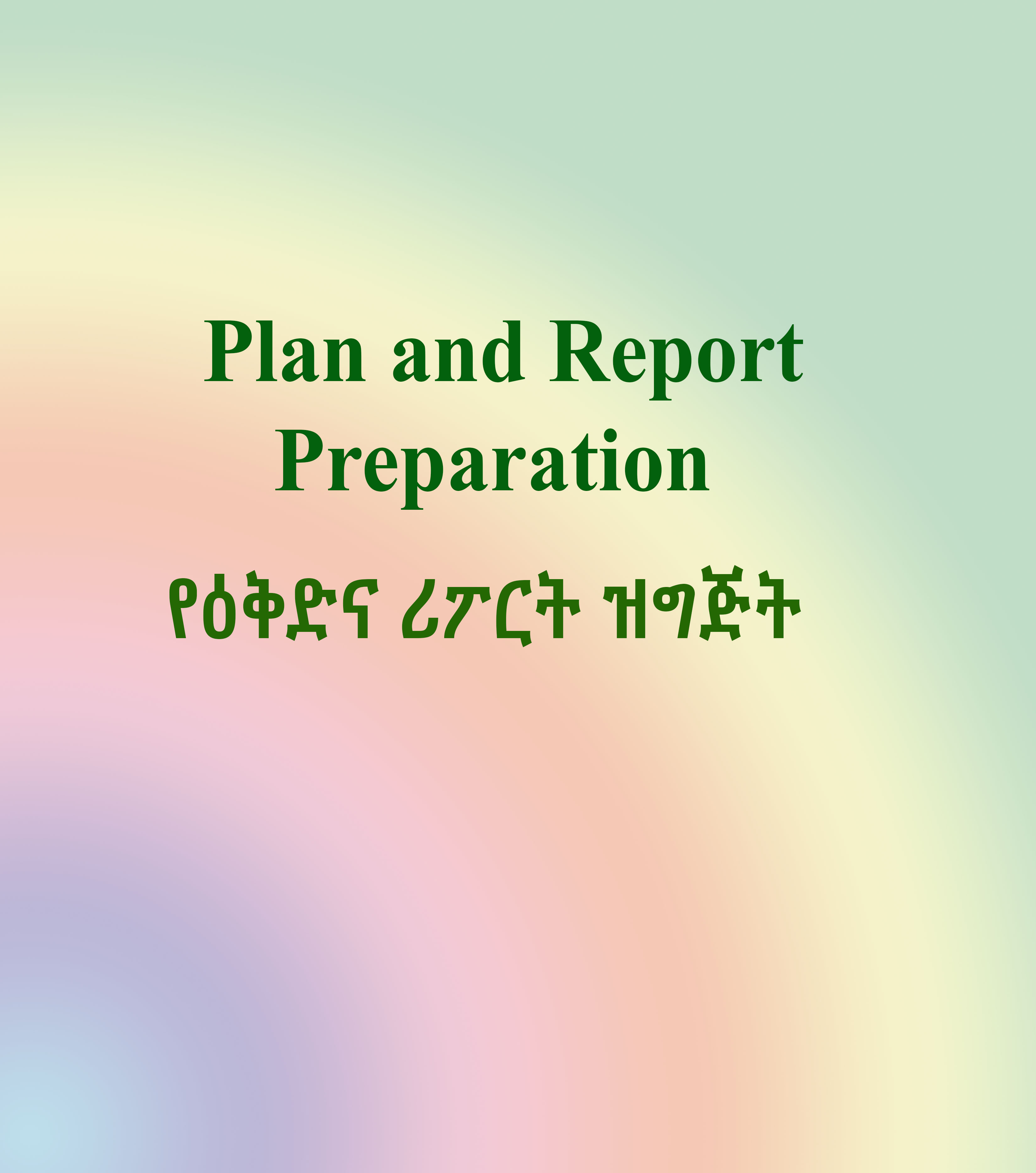 Plan and report preparation 