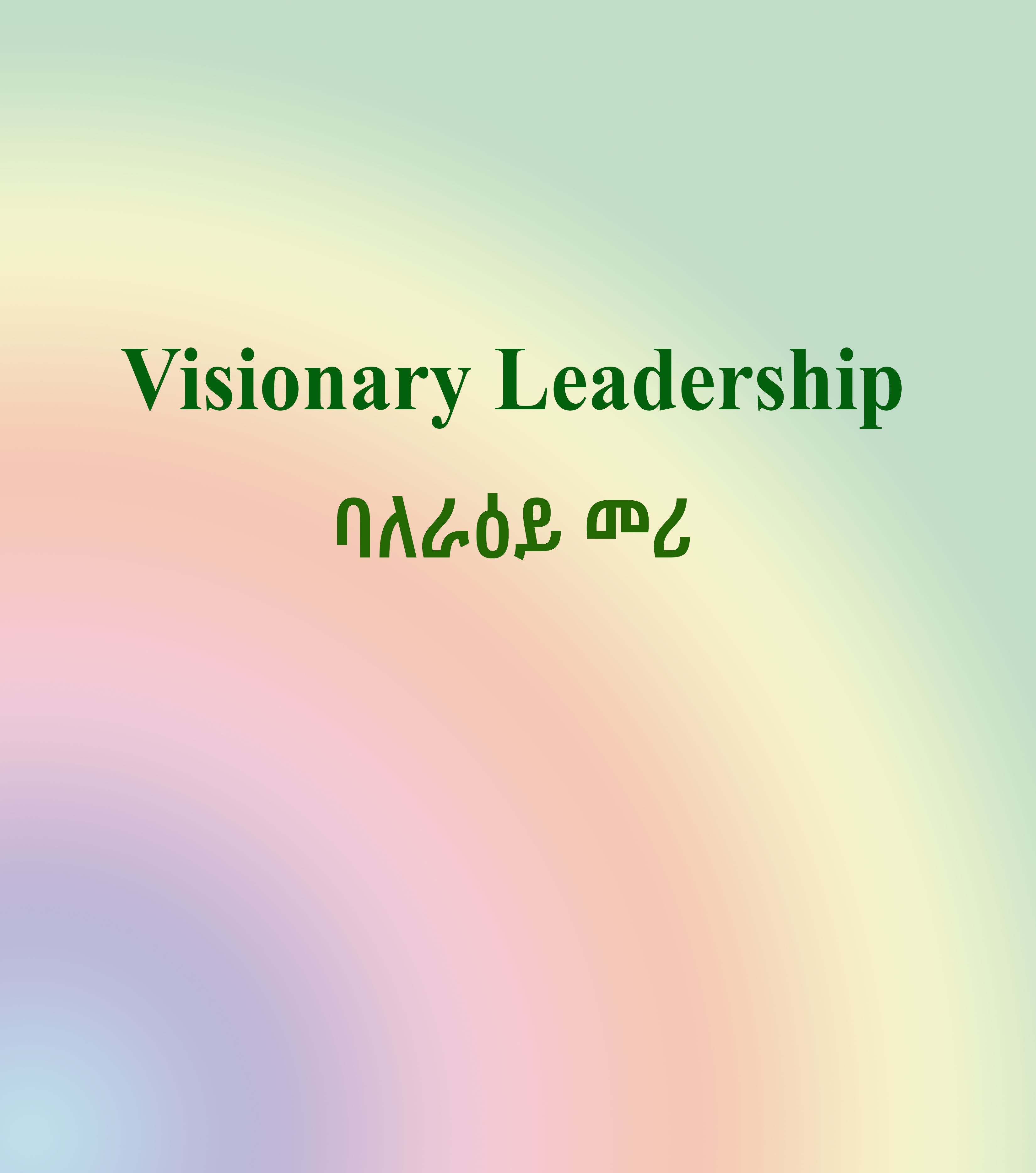 Visionary leadership 